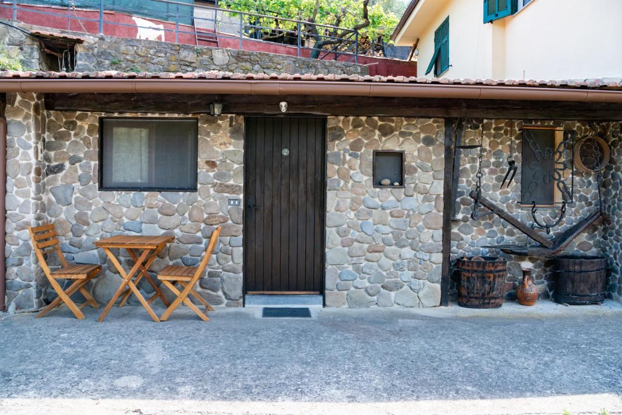 Antica Macina - “La Taverna” Rocchetta Nervina Екстер'єр фото
